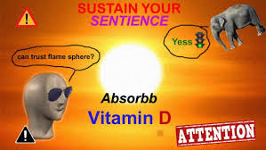 Surreal Memes Funny Relatable Memes Funny Memes Haha Funny