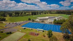 The new england regional art museum is a vibrant art gallery featuring australian art collections, artist's studio, shop and café. You Are Important To Us Sport Une