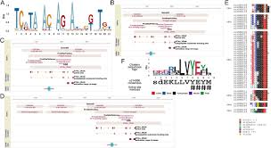 Check spelling or type a new query. An Atypical Class Of Non Coding Small Rnas Produced In Rice Leaves Upon Bacterial Infection Biorxiv
