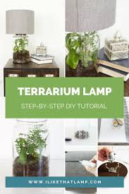 Featured On Not Just A Housewife Stacy S Easy Diy Terrarium Lamp Bottle Lamp Kit Glass Lamp Base How To Make Terrariums