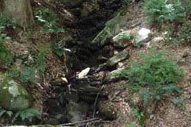 Maybe you would like to learn more about one of these? Pequonnock River Trail Connecticut Trails Traillink