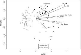 Image result for Xerophyta equisetoides