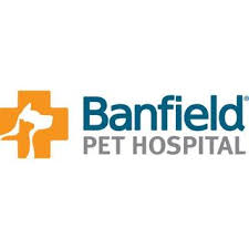 Banfield Pet Hospital Pet Insurance Review Rating Pricing
