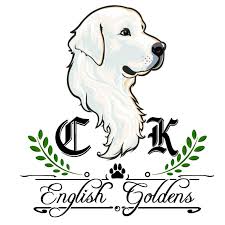 Here at eden golden retrievers we delight in producing excellent and beautiful english cream golden retrievers. Bond Mountain Kennels Home Facebook