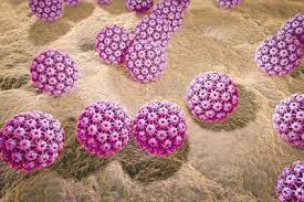 Hpv vaccines are vaccines that protect against infection with human papillomaviruses (hpv). Humane Papillomviren Hpv