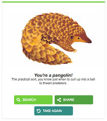 Google S Earth Day Quiz Earth Day Quiz Earth Day Quiz