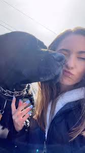 What an awesome day!!  #dealership#dealershiplife#cardealership#cardealershiplife#dealershiptiktok#cardealershiptiktok#animalshelter#shelterpuppy#shelterdog#shelterpets#adoptdontshop#dogshelter#massach...