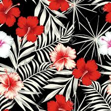 As gardeners, one way we can show our patriotism is by planting an american garden. Red White Hibiscus Blumen Auf Einem Schwarzen Und Weissen Hintergrund Der Blatter Nahtlose Vektor Strand Tapeten Muster Lizenzfrei Nutzbare Vektorgrafiken Clip Arts Illustrationen Image 81230192