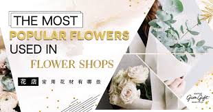 Symbolizing rebirth and new beginnings, this. The Most Popular Flowers Used In Flower Shops Give Gift Boutique Flower Shop