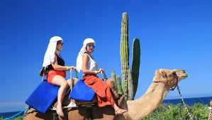 We are a unique fusion of mexican and mediterranean food restaurant. Outback Camel Safari My Experience Tours