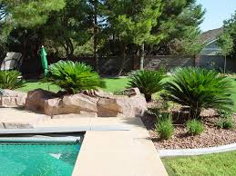 Maybe you would like to learn more about one of these? Palm Trees Flagstone Additional Tropical Feel Cacti Landscapes