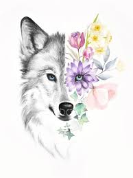 1001 Astuces D Artiste Pour Apprendre A Realiser Un Dessin De Loup Dessin De Loup Tete De Loup Dessin Dessin Loup Facile