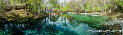 As of 2008, decreased water emission levels at the springs technically requalify the first magnitude status as historical first. Suwanee River Springs Florida Manatee Fanning Ichetucknee Troy Peacock Lafayette Wakulla Ponce De Leon Www Wilde Weite Welt De