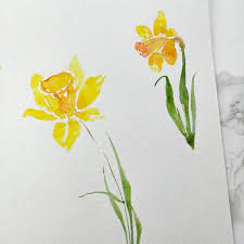 Watercolor Daffodils Daffodil Tattoo Daffodil Flower Daffodil Photography
