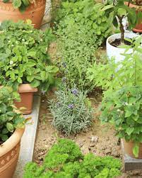 Herb gardens belong close to where the herbs will be used. Herb Garden Design Different Types Of Herb Gardens