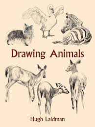 Step by step drawing tutorial step 2. Drawing Animals Laidman Hugh 9780486432076 Books Amazon Ca