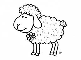 En dat is niet zo. Schaap Tekenen