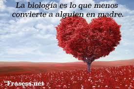 Quiero dedicar esta canción a la mujer más bella del mundo.i want to dedicate this song to the most beautiful woman in the world. Frases Para Mama Frases Cortas Que Llegaran Al Corazon