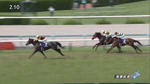 2021年6月27日、上半期を締めくくるグランプリ「宝塚記念」が阪神競馬場で開催される。 昨年、圧勝したクロノジェネシスが連覇を果たすのか。 となるとド真ん中すぎるので…… せめてレイパパレを1着固定にして夢を託すつもり。 とはいえ、なんだか今年の宝塚記念は大荒れす. D4cskxoovy47dm