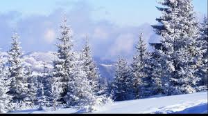 ¿te lo vas a perder? SolstiÅ£iul De IarnÄƒ 2017 Cand Va Fi Cea Mai ScurtÄƒ Zi Din An Obiceiuri Si SemnificaÅ£ii