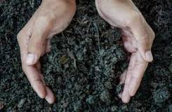Biodegradable and compostable glues and adhesives - About ...