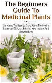 Free Today The Beginners Guide To Medicinal Plants Everything You Need To Know About The Healing Properties Of Plants He Herbalism Herbal Remedies Herbs