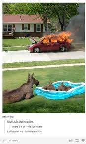 Pin By She Lives On Laughs Tumblr Funny Funny Pictures Funny