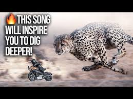 It is the title track of taylor's. Dig Deeper Lyrics Fearless Motivation Noah S Digest