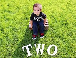 2nd Birthday 2 Year Old Boy Birthday Photoshoot Ideas Second Birthday Boy Birthday Pictures Birthday Photos Second Birthday Photos