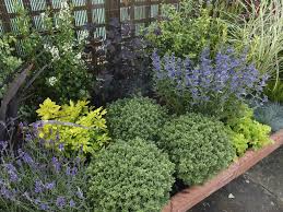 These plants like moist soil, so place them next to water features to keep them low maintenance. Low Maintenance Plants For Your Garden Garden On A Roll Ltd Front Yard Plants Shrubs For Landscaping Landscaping Shrubs