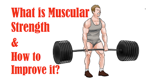 In This Article We Define What Is Muscular Strength What Are The Benefits Of Muscular Strength And How To Improve Strength Muscular Strength Muscular Strength