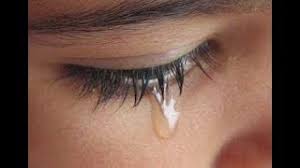 Dalam kitab ini setiap orang dapat menemukan solusi atas setiap permasalahan dan jawaban untuk semua pertanyaan. Bacaan Surah Yasin Yang Bikin Hati Menangis Jutaan Orang Menangis Mendengar Lantunan Surah Yasin Penyebabnya