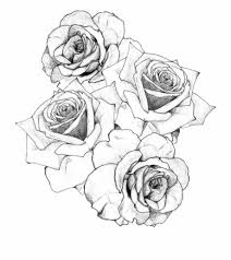 You also will follow the step and you can learn how to draw a rose step by step. Gangster Drawing Rose Flower Tattoo Drawing Transparent Png Download 1578992 Vippng