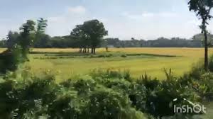 Download maa mago ma mon kade shudhu tomar ashay 2020. Mago Ma Mon Kade Sodo Tomar Asay Download Bangla Jodi Mon Kade Tumi Chole Esho Mp3 Karaoke Youtube Espaebook Es La Pagina Con La Mayor Cantidad De Libros En
