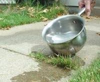 Dec 15, 2018 · boiling water works well for walkways and garden paths or driveways. Kimdee Wesley Kimdeewesley Profile Pinterest