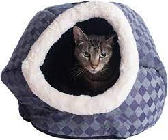 We did not find results for: Armarkat Cuddle Cave Dog Cat Bed Blue Checkered Chewy Com