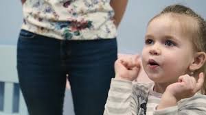 Отзывы о «Little Hippo» на Проспекте Просвещения, Санкт-Петербург, улица  Шостаковича, 3, корп. 1 — Яндекс Карты