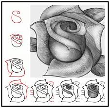 Now I Ll Always Know How To Draw The Perfect Rose 3 Rose Zeichnung Zeichnen Lernen Rosen Zeichnen The rose is a symbol rich in history and meaning.