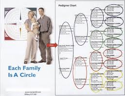 The Familyroots Organizer Color Coding System 13 Steps