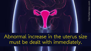 What Is The Normal Size Of The Uterus And Other Things To Know