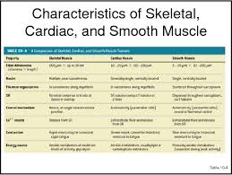 Pdf Classification Of Muscle Cells Semantic Scholar