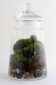 Miniature Terrarium Plants Decor Products Plants Pots And Indoor Fountains Plants Twig Terrariums Terrarium Garden Terrarium