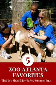 Did You Know That Atlanta Is Home To The Largest Collection Of Gorillas If You Re Looking For A Kid Friendly Lo Atlanta Zoo Road Trip With Kids Atlanta Travel