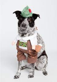 5 Dog Halloween Costumes We Are Loving My Kid Has Paws Oktoberfest Dog Costume Dog Halloween Costumes Dog Halloween