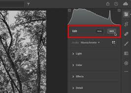 To adjust this setting, go to the. Lightroom In Black And White Creativepro Network