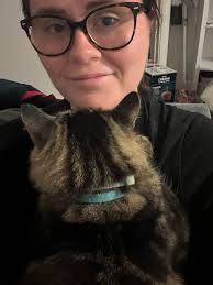 Lost dog Duke, microchipped, friendly