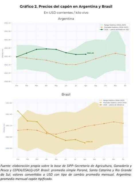 Cerdo barato en Brasil: más importaciones y presión sobre los precios argentinos