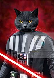 Custom Star Wars Pet Portrait Pet Portraits Pet Portraits Uk Dog Portraits