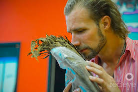 The Art of Wynwood Cigar Factory