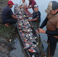 Profile for Carmelo Jose Doria Hernandez